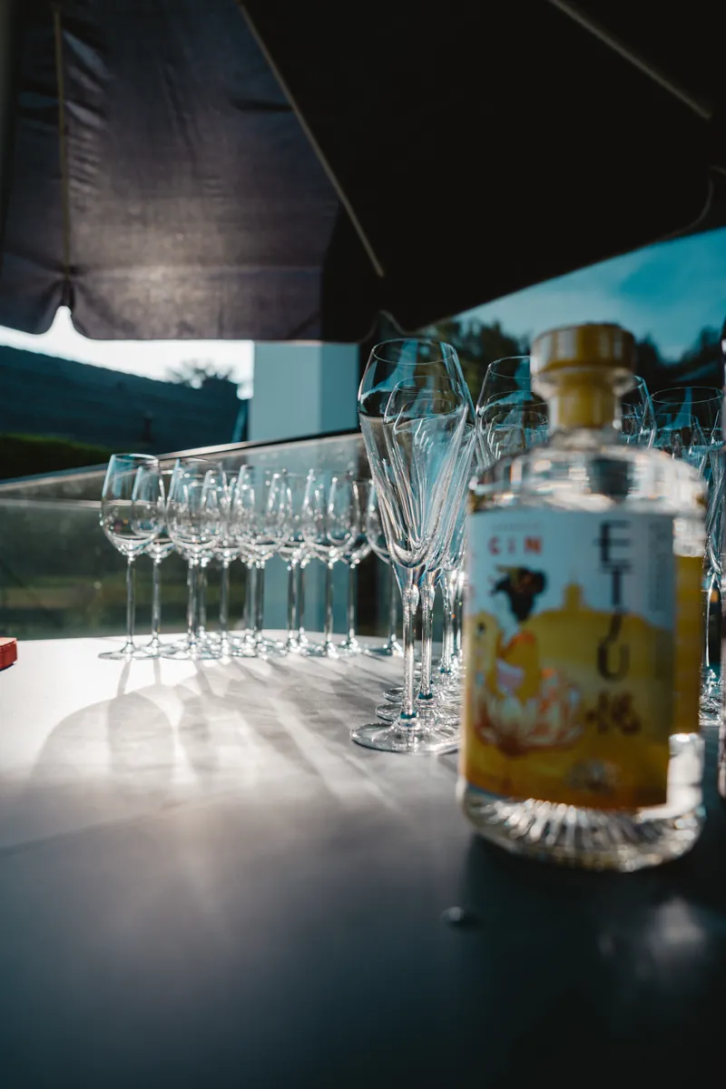 Bouteille de gin et verres à pied en contre-jour sur un bar